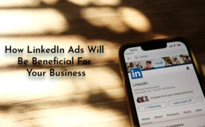 How LinkedIn Ads Will Be Beneficial For Your Business - PriVi - Digital Marketing Agency
